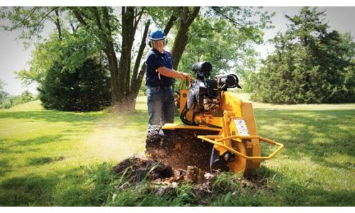 SC292 Stump Cutter